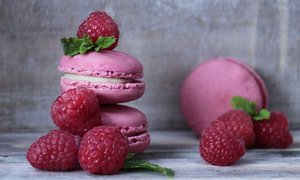 patisserie macarons commercant FISAC ARCHE Agglo