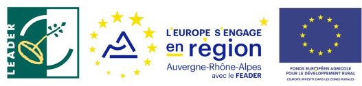 3 logos LEADER RARA Europe petit.jpg