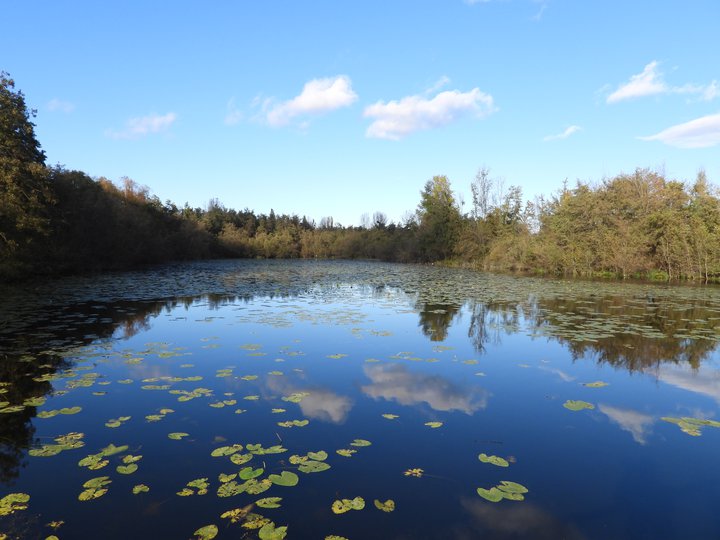 Etang du Mouchet © Claude SANITAS.JPG