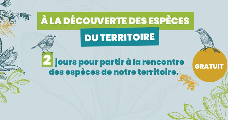 Quatre événements gratuits, les 24 et 25 avril