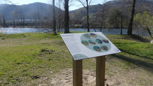 Panneaux-lac-pierrelles-Poissons_ARCHE-Agglo (2).JPG