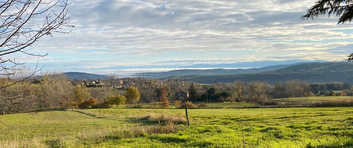 Capture d’écran 2025-11-07 093823.jpg