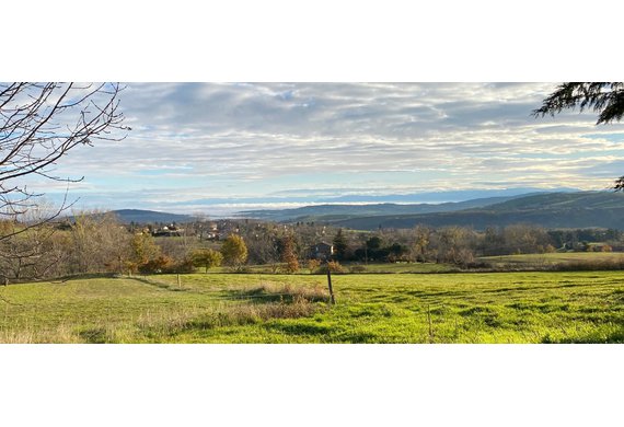 Capture d’écran 2025-11-07 093823.jpg