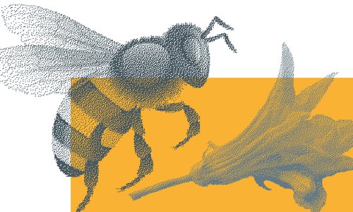 fete-biodiversite-2019_RS.jpg