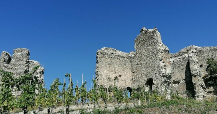 Ruines du château de Larnage
