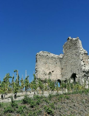 Visite commentée des carrières de Kaolin - Journées Européennes du Patrimoine