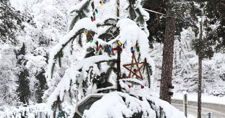 Le sapin de Noël ploie sous le poids de la neige