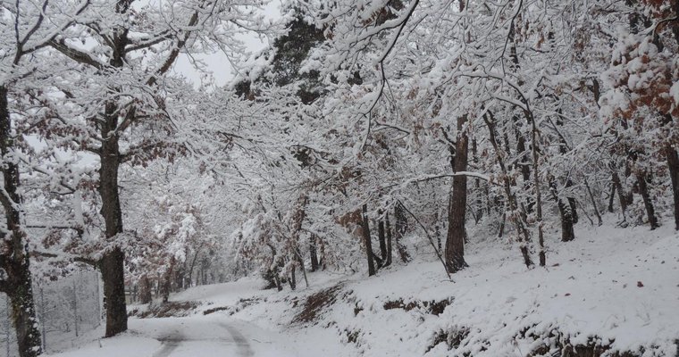 Tout est blanc!!!