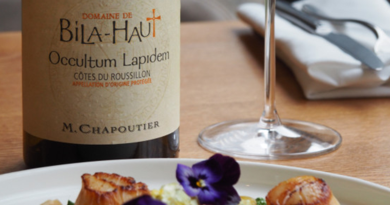 Atelier du mois : Vin & Saveurs de la mer - M CHAPOUTIER