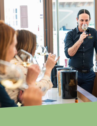 Initiation à la dégustation avec Terres de Syrah