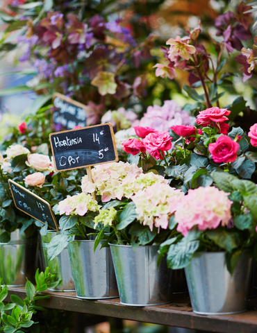 Marché du jardin et des plantes - Semaine Verte