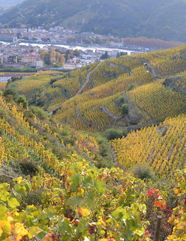 Conférence dans le cadre de "Rhône des Côtes"
