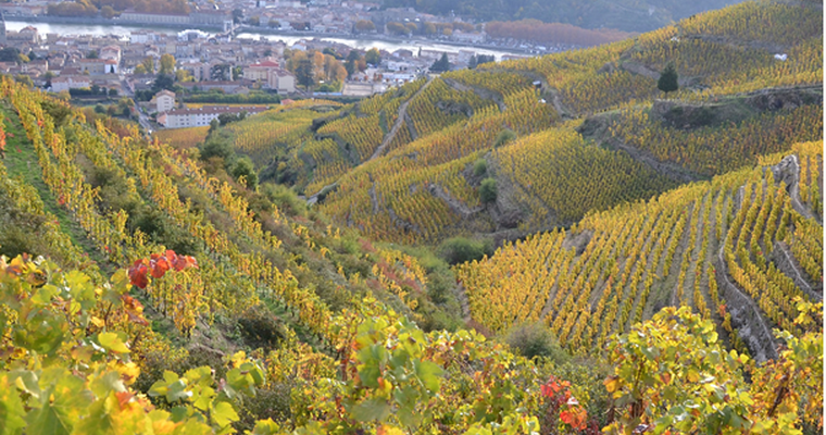 Conférence dans le cadre de "Rhône des Côtes"_Tain-l'Hermitage