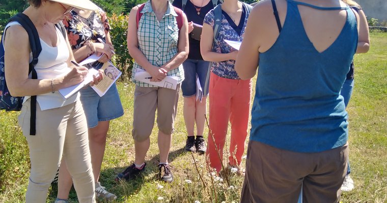 Balade botanique et atelier avec La magie des plantes_Tournon-sur-Rhône