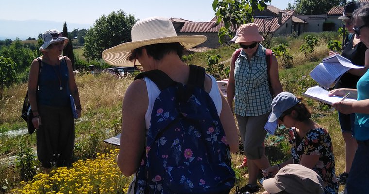 Balade botanique et atelier avec La magie des plantes_Tournon-sur-Rhône