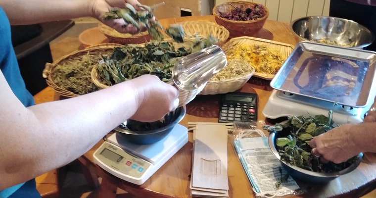 Balade botanique et atelier avec La magie des plantes_Tournon-sur-Rhône
