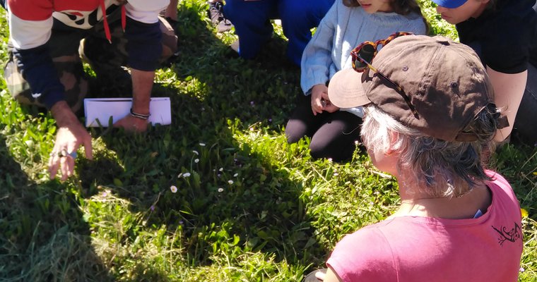 Balade botanique et atelier avec La magie des plantes_Tournon-sur-Rhône