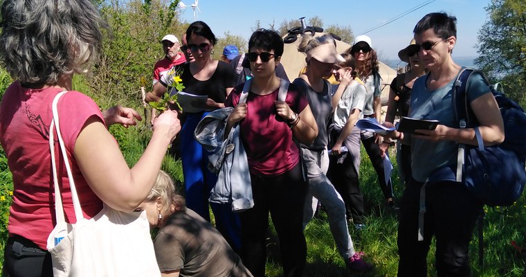 Balade botanique et atelier avec La magie des plantes_Tournon-sur-Rhône