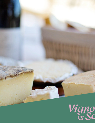 Dégustation Vin & Fromage - Terres de Syrah