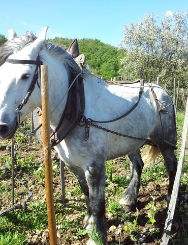 Apéro Vignes au Domaine de Gouye