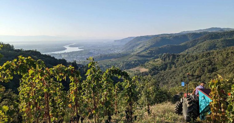 Apéro Vignes au Domaine Goudard & Filles_Tournon-sur-Rhône