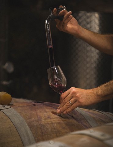 Apéro-vignes au Domaine Luyton Fleury