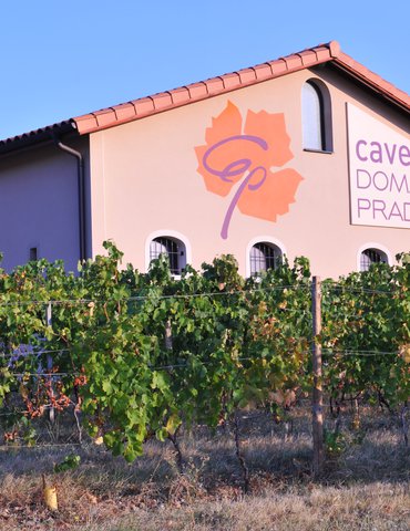 Apéro Vignes au Domaine Pradelle