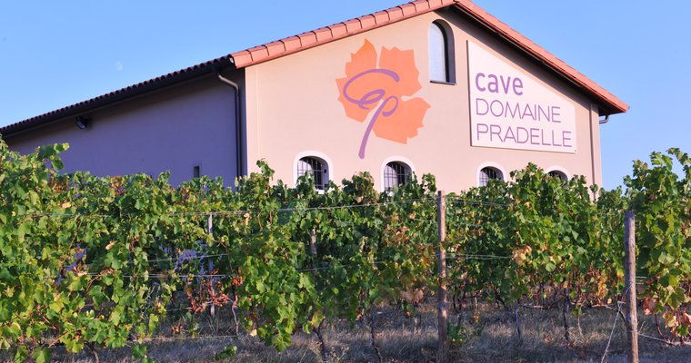 Apéro Vignes au Domaine Pradelle_Chanos-Curson