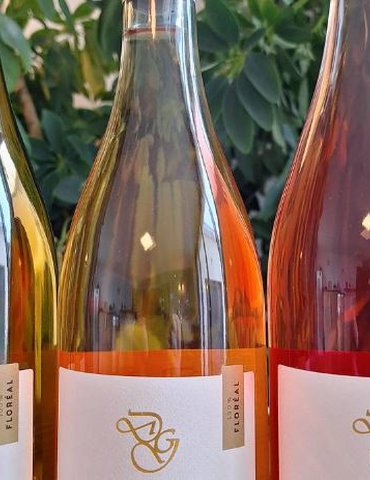 Apéro-vignes au Domaines des Granges