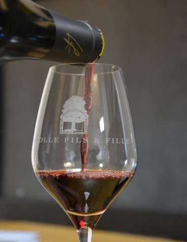 Apéro-vignes au Domaine L. Fayolle