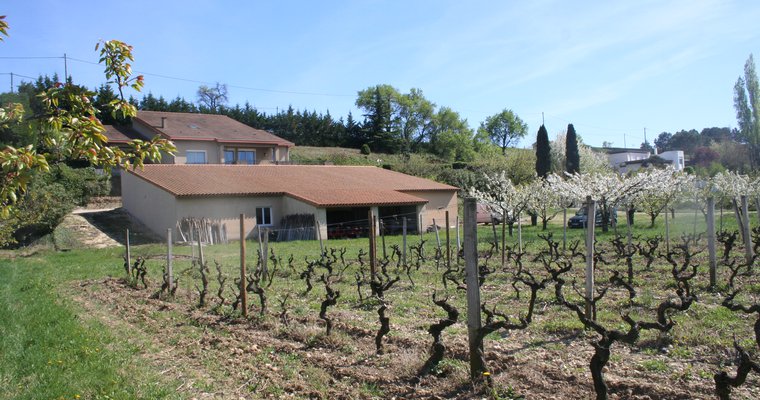 Apéro Vignes  au Domaine des 4 Vents_Mercurol-Veaunes