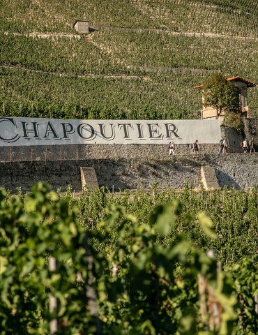 Apéro vignes au Domaine M.CHAPOUTIER