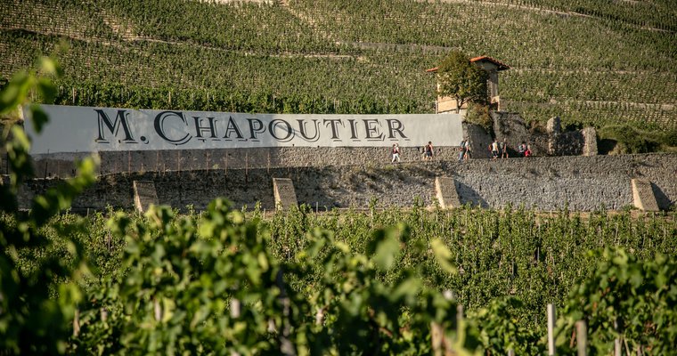 Apéro vignes au Domaine M.CHAPOUTIER_Tain-l'Hermitage