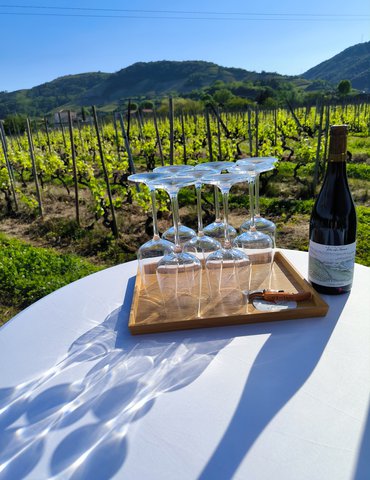 Atelier protocole Gha Sha-  outils de beauté et dégustation de vin