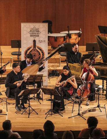 Il Viaggio Musicale - Ensemble Artemandolie