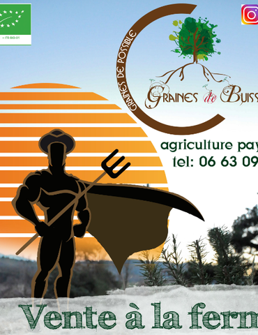 Marché paysan - Graines de Buisson