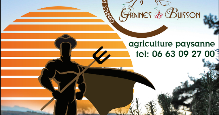 Marché paysan - Graines de Buisson_Plats