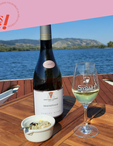 Croisière Gourmande : Vins & Fromages au Fil du Rhône - Terre de Syrah