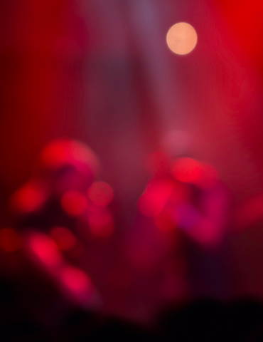 Concerts musicaux