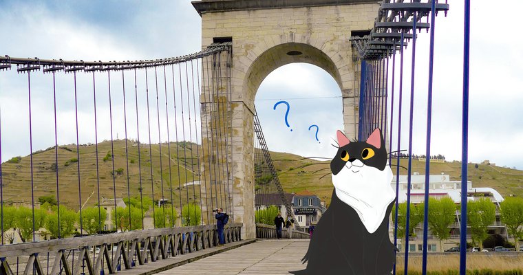 Pythagore le chat et l'inventeur disparu_Tournon-sur-Rhône
