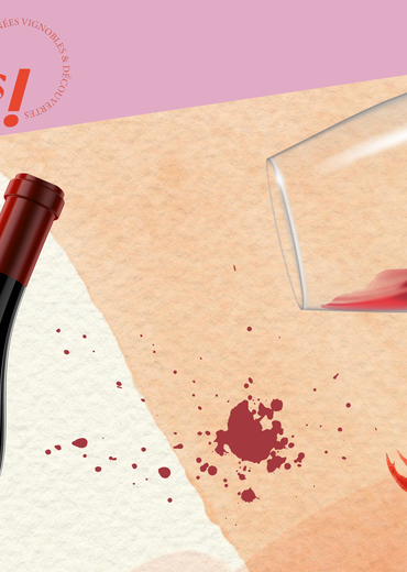 Escape game : Syrah, mystère & confrérie au domaine Laurent Fayolle