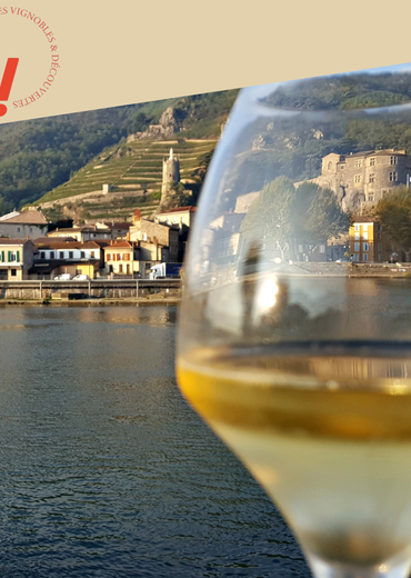 Visite guidée : " Au fil des cuvées" - Tournon sur Rhône