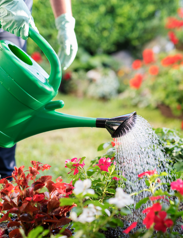 Ralentir l'eau pour recharger les nappes phréatiques - Journées Européennes du Patrimoine
