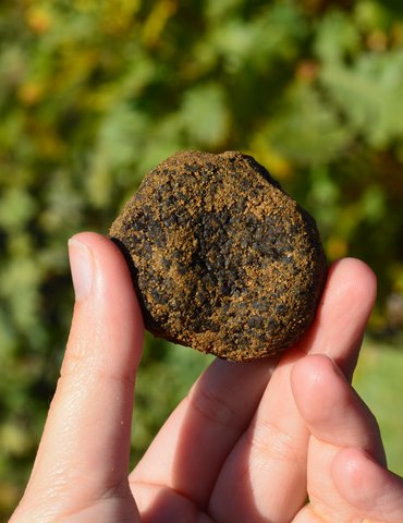Marché aux truffes et aux fines volailles - Saint Donat