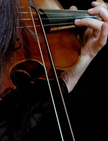 Les Violons au temps de Brillat-Savarin - Vochora