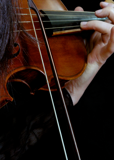 Les Violons au temps de Brillat-Savarin - Vochora