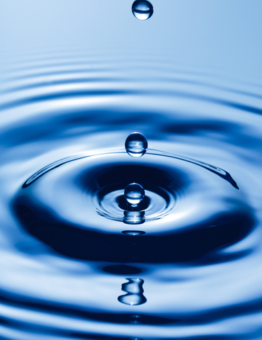 L’eau que nous sommes, un élément vital en péril