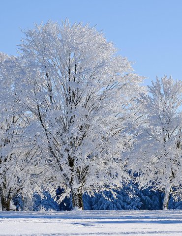 Exposition "Hivers Blancs" - Patrimoine Herbasse