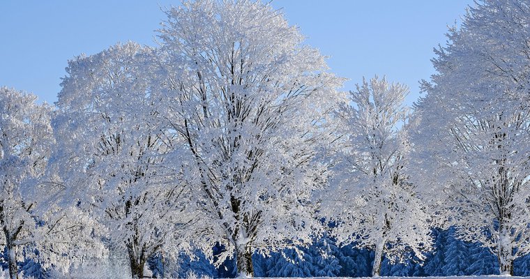 Exposition "Hivers Blancs" - Patrimoine Herbasse_Saint-Donat-sur-l'Herbasse