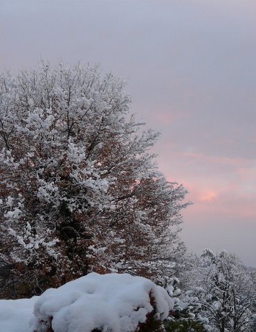 Exposition "Hivers Blancs" - Patrimoine Herbasse